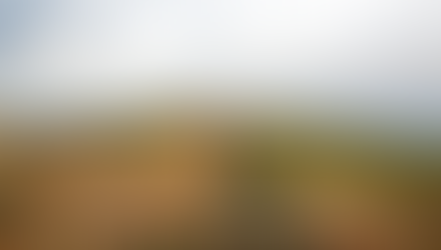 Roan Mountain - Carvers Gap to 19E