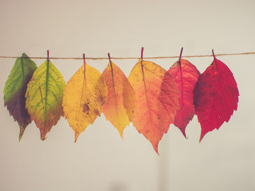 6 Ways To Gear Up For Cold & Flu Season