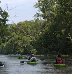 IMG_0835.CR2