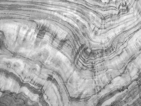 HalftoneWood12-byGhostlyPixels.png