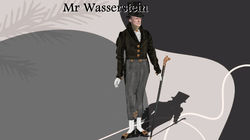 Mr Wasserstein