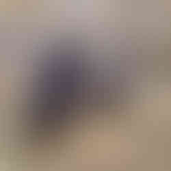 Blau-weiße Suzuki Hayabusa in der Motorradausstellung des PS.SPEICHER, schräg von vorn auf einem Podest präsentiert, mit weiteren Sportmotorrädern im Hintergrund.