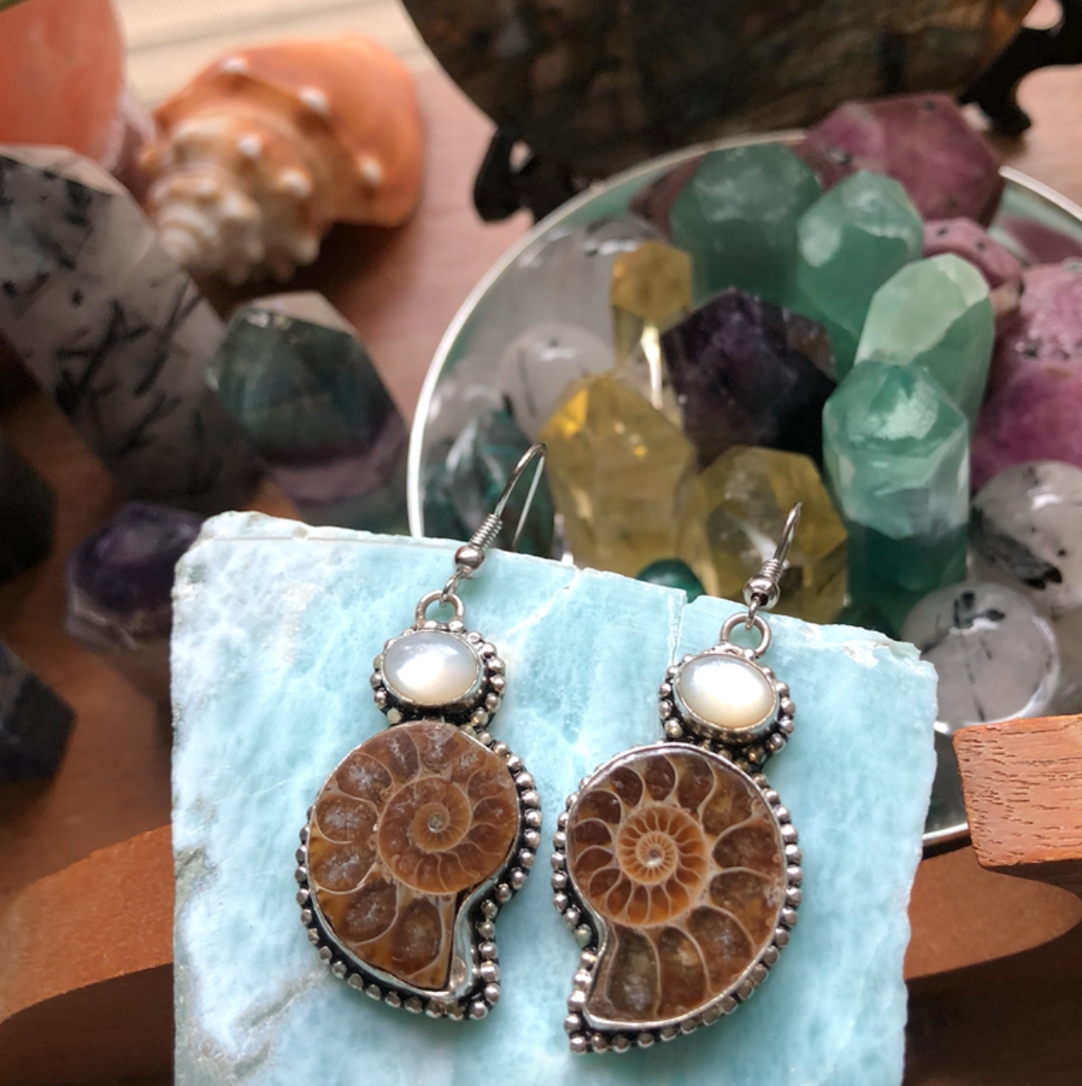 “Embodying My True Power” Ancient Ammonites + Moonstone Sterling Silver Earrings