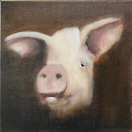 Animals_Gemma Reuten_zoekbeer.jpg