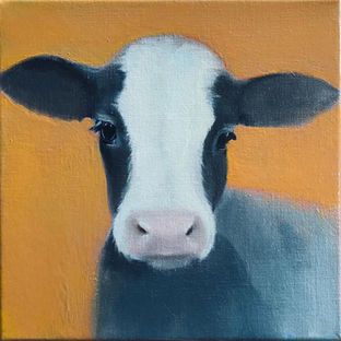 Animals_Gemma Reuten_vleeskalf.jpg