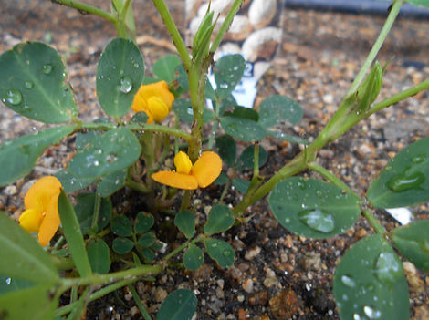 DSCN0597.JPG