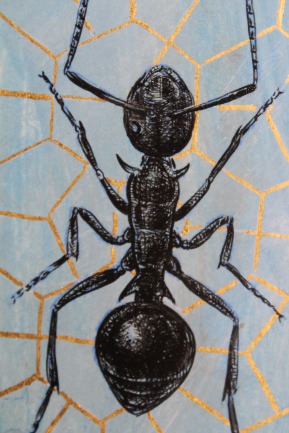 Thumbnail: Ant Sketch on Geometric 24k Gold Leafing Background
