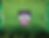 prokids_top_banner_rectangle_smaller_logo.png
