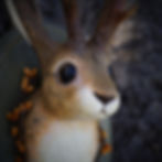 Thumbnail: Jackalope Wall Decor