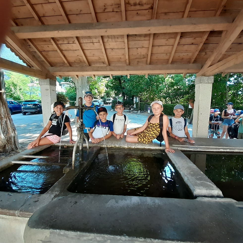 IMG-20220719-WA0002