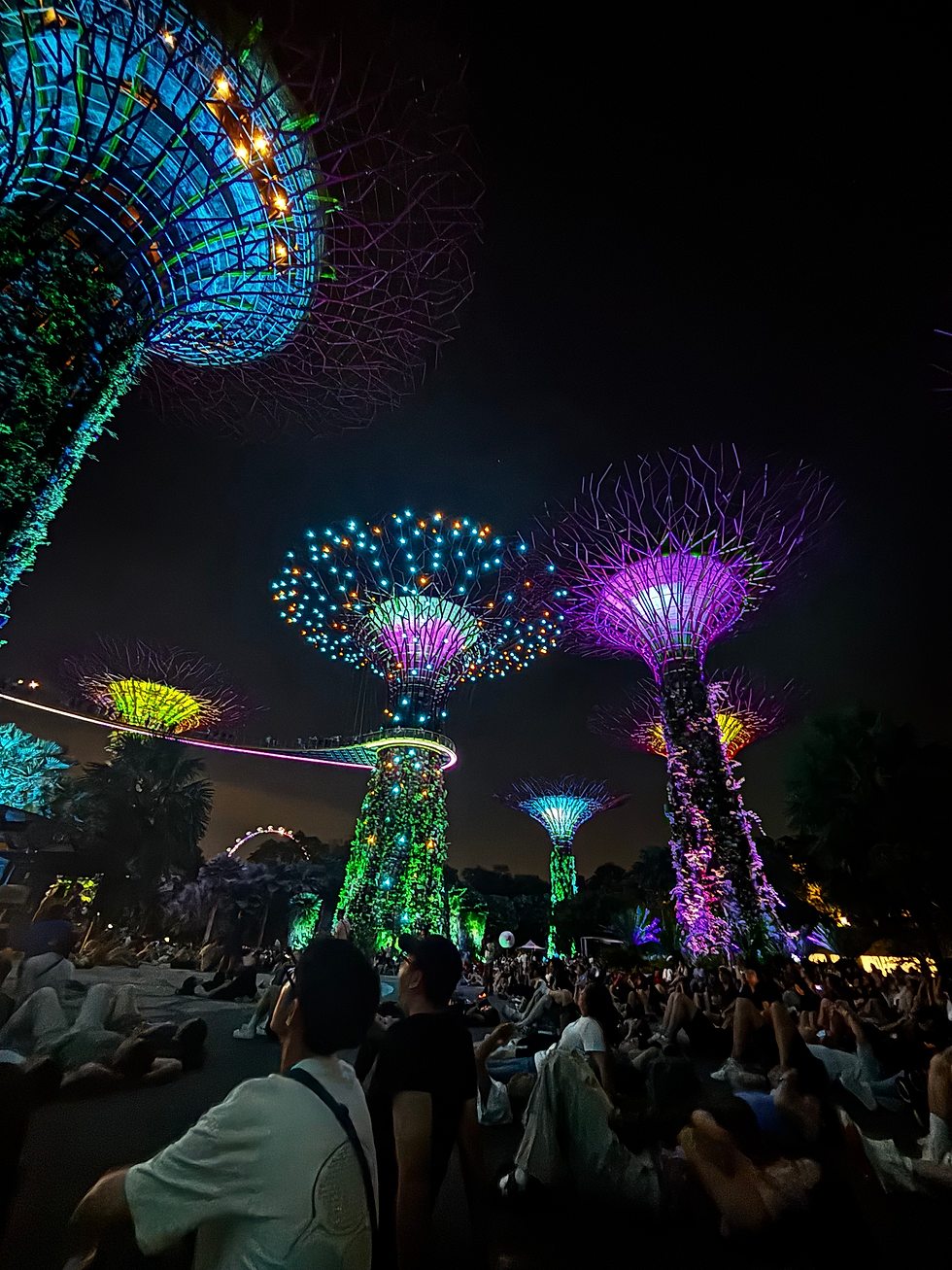 Stretching Across Borders: From Vietnam to Singapore ✈️