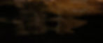 0e0ff4a09b3fb09828574c39400b077e_edited.jpg