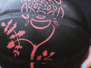 AMR Game Ball