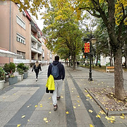 WhatsApp Image 2025-10-31 at 22.24.50.jpeg