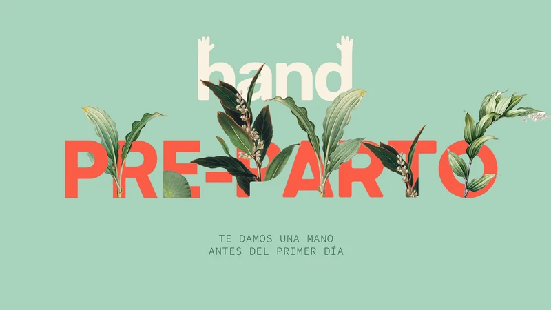 Hand Preparto. Te damos una mano antes del primer día.