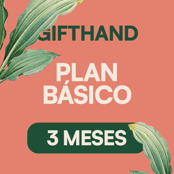 GH-basico3meses.png