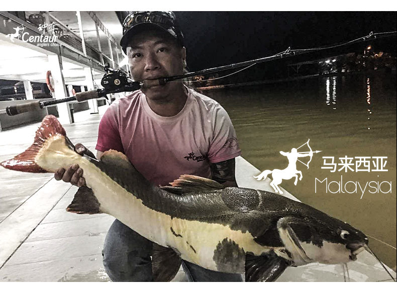 Thumbnail: Centaur Chiron Toman Rod