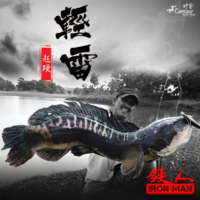 Thumbnail: Centaur Constellation Toman Rod