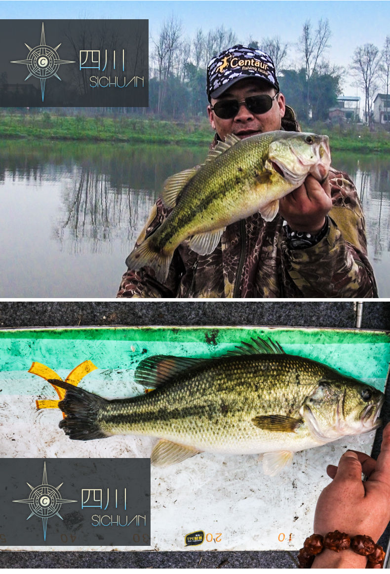 Thumbnail: Centaur Combat Arm Bass Rod