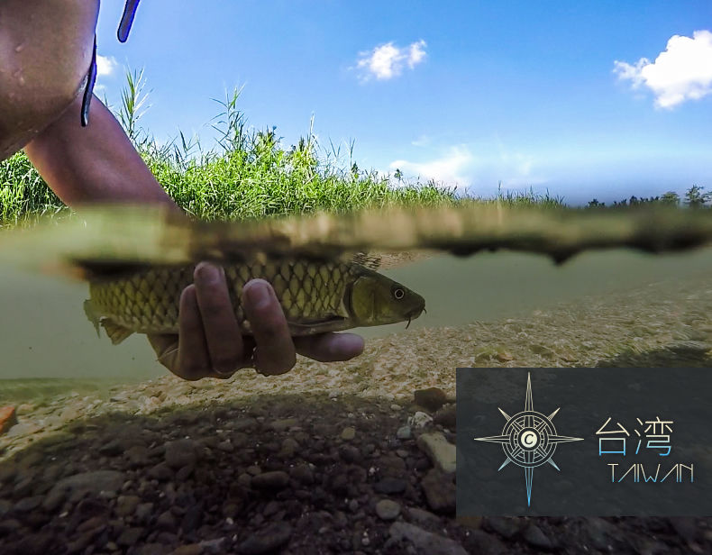 Thumbnail: Centaur Combat Arm River Rod