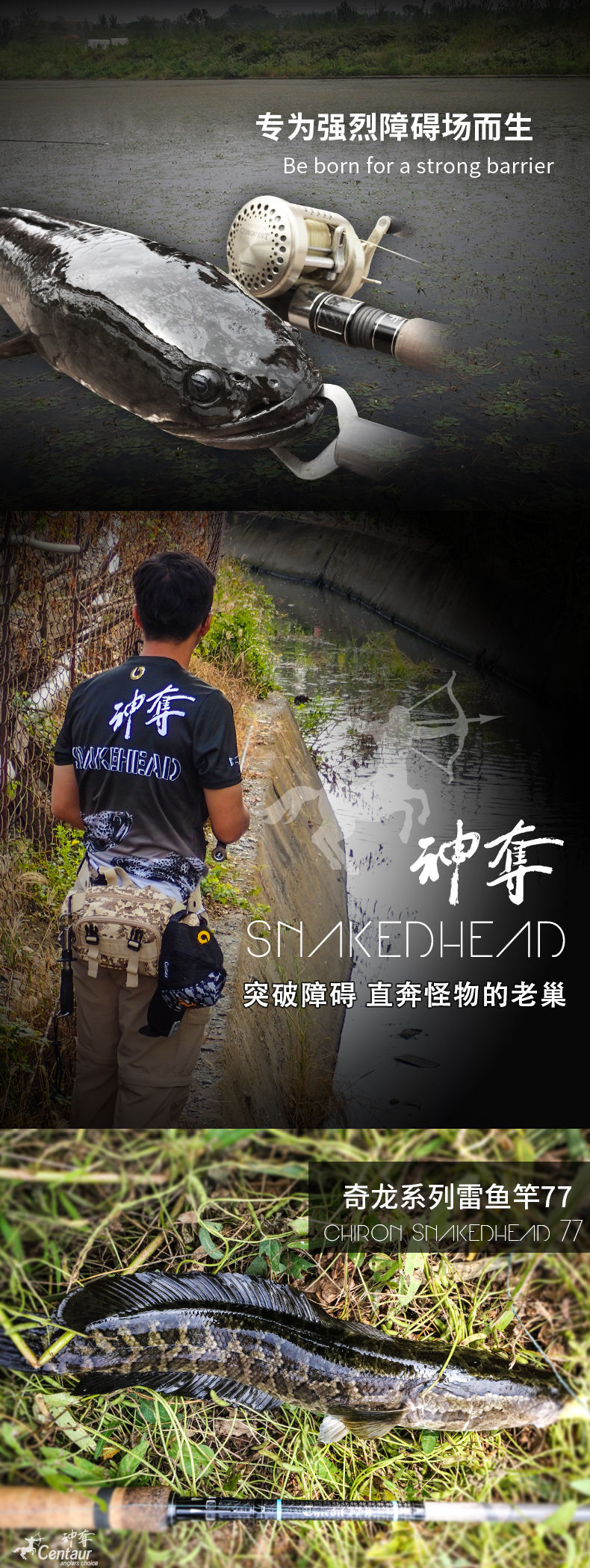 Thumbnail: Centaur Chiron Snakehead Rod