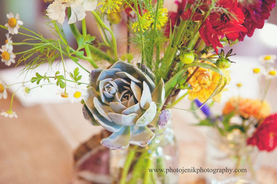 582110_10150896775036046_1794088906_n