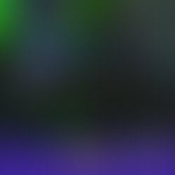 Pierre Paris Design : Ouverture imminente du site officiel et rétrospective sur un parcours rebelle