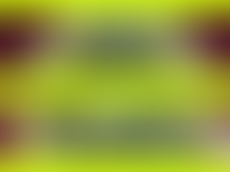 Strain Profile: Amnesia Genetics, THC, Terpenes, Effects, Yield & More