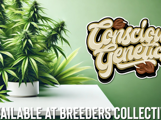 Conscious Genetics Now Available at Breeders Collective