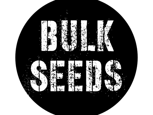 Explore the Breeders Collective Bulk Cannabis Seed Selection! 🌱