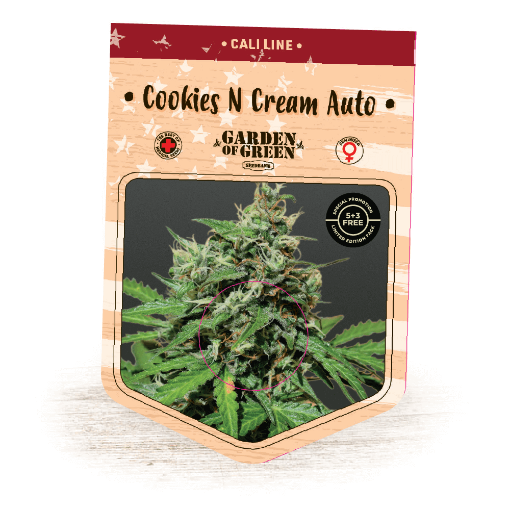 Cookies n Cream Auto Feminised By Garden Of Green