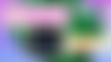 Straightforward Genetics Sponsored Grower Programme