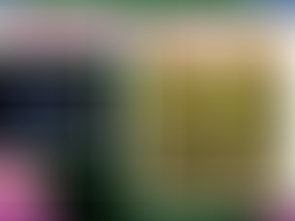 Black Domina By Straightforward Genetics