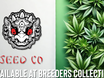 Oni Seed Co Seeds Availible At Breeders Collective Cannabis Seed Bank