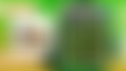 Apollo Black Cherry Feminised By Seedstockers