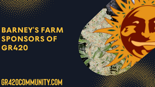 Barney's Farm & GR420