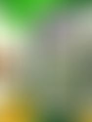 Blackberry Gum By Seedstockers