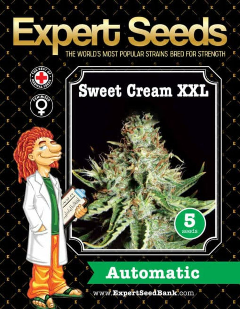 Thumbnail: Sweet Cream Auto XXL Feminised By Expert Seeds