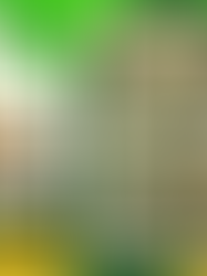 Mack And Crack By Seedstockers