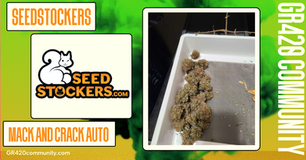 Mack And Crack Auto By Seestockers