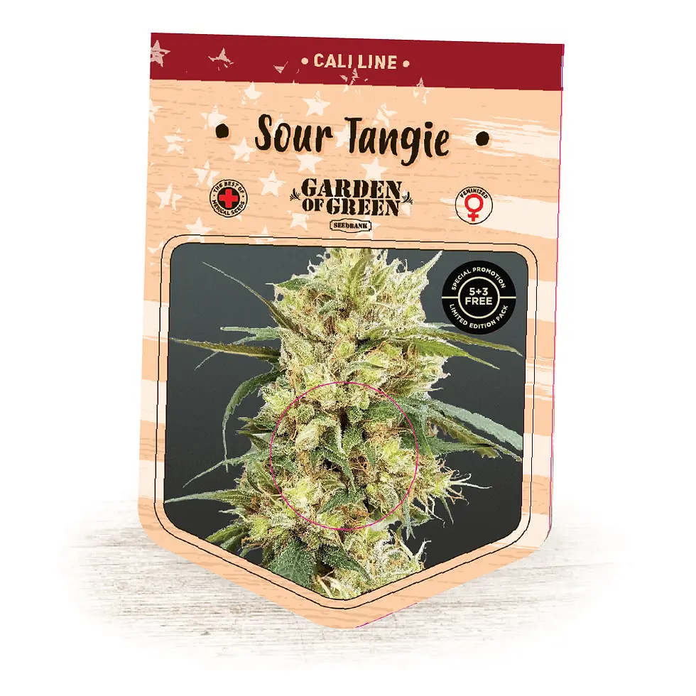 Sour Tangie Feminised By Garden Of Green