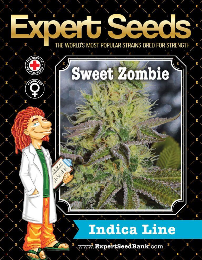 Thumbnail: Sweet Zombie Feminised By Expert Seeds