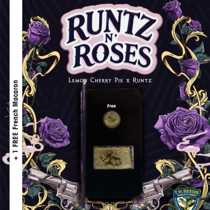 Thumbnail: Runtz N Roses Femninised By T.H. Seeds