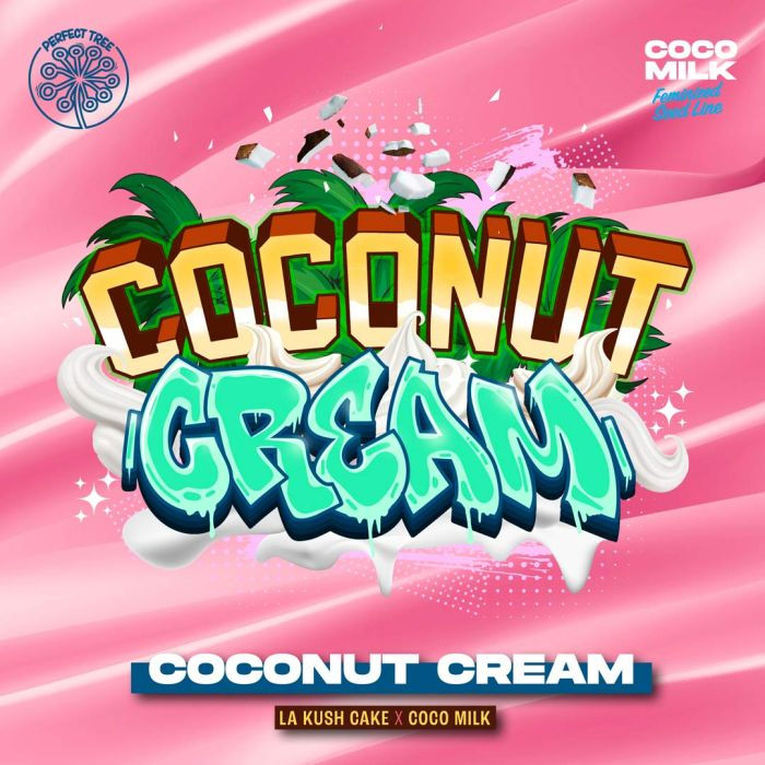 Thumbnail: Coconut Cream Feminised by Perfect Tree