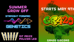🚀 GR420 x Straightforward Genetics Summer Grow Off: Grow-Off Announcement!