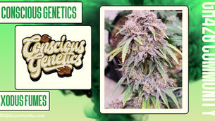 Exodus Fumes By Conscious Genetics