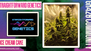 Ice Cream Cake By Straightforward Genetics