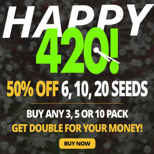 🌿 Go Big This 420 with Barney’s Farm – Massive Discounts & Double the Seeds! 🌿