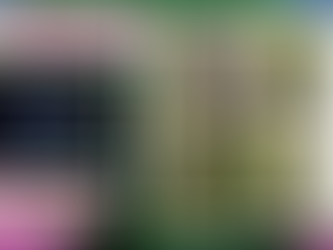 Watermelom Zkittlez By Straightforward Genetics