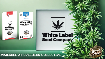 White Label Seed Company Now Available at Breeders Collective